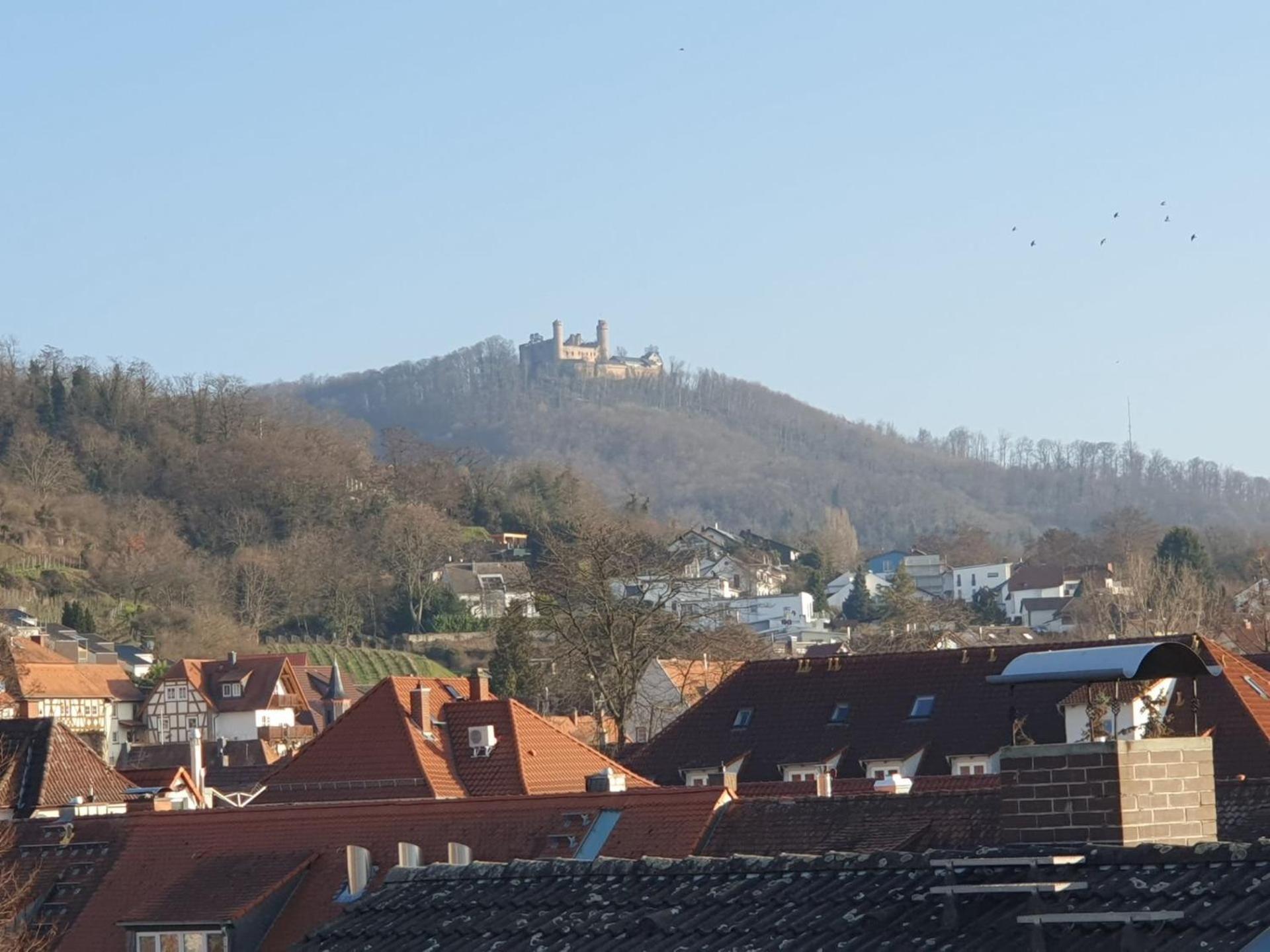 Abm Apartment Haus Zwingenberg  Экстерьер фото